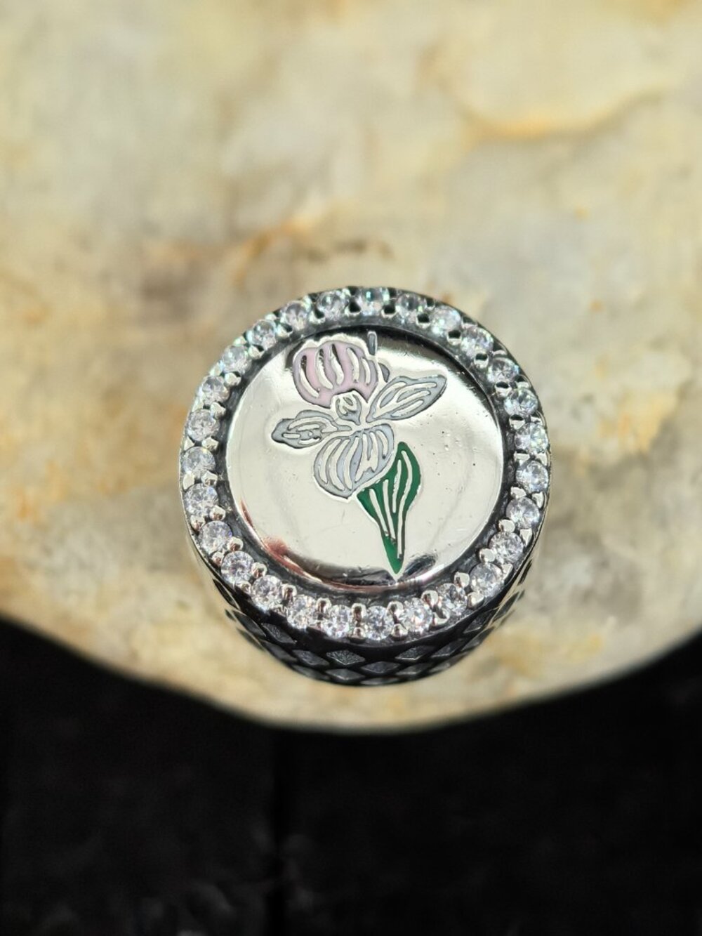 Pandora Minnesota Bead Charm Travel Pendant, S925 Silver Jewelry (Women's)